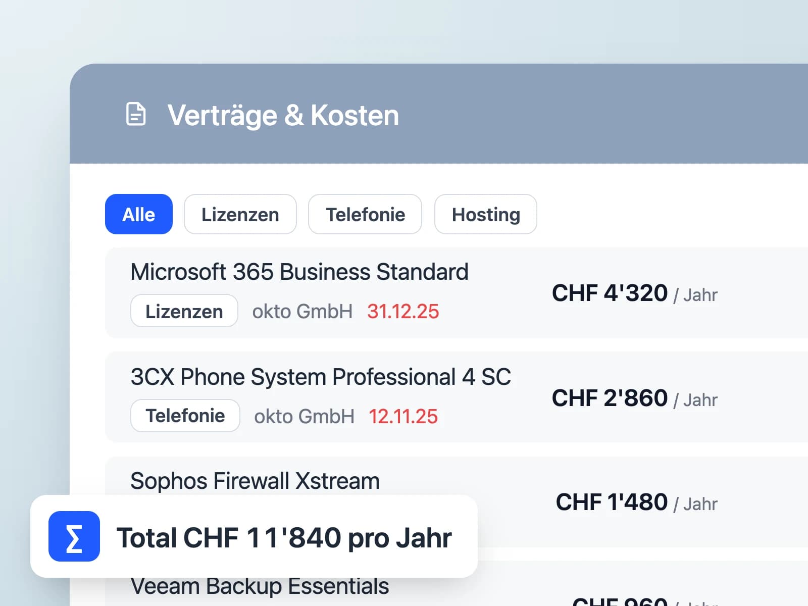 Doku: Verträge und Kosten mit Ablaufdaten und Total pro Jahr